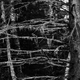 Superior National Forest